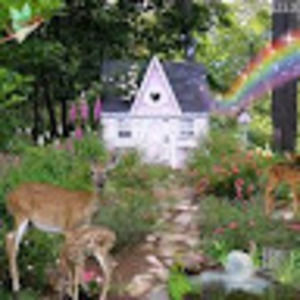 Meet your Posher, Bella